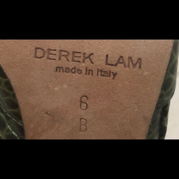 Authentic Derick Lam Classic Shoes - Picture 6 of 6